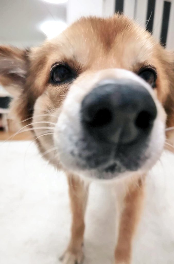 マズル〜〜〜〜〜！！！＼尊／ ＼尊／