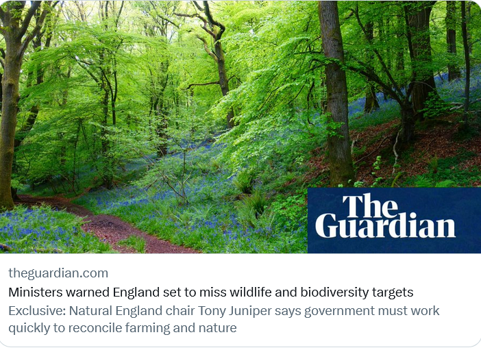AmeleaTeckel's tweet photo. #Mondaythoughts for #badgermonday 🦡
Tony Juniper, chair of Natural England: which one would have thought existed to protect our 🇬🇧 #wildlife, but instead licences its slaughter ~
210,555 badgers killed since 2013 ...
&amp; continuing‼️
https://t.co/hOpUo10JbR
https://t.co/wHesLkk0tq https://t.co/hdQXQUpiww