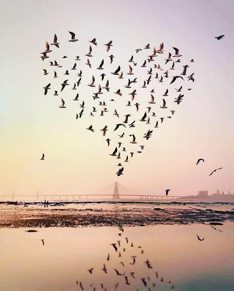 Хорвоогийн бүх боломж бидэнд яг адилхан бий. Гагцхүү үйлдэл хийдэг хүн л тэр боломжуудыг хүртдэг...