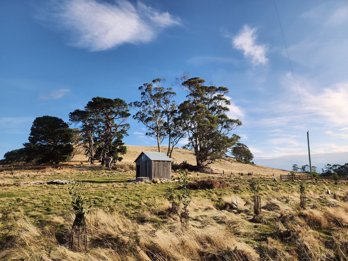 TasScenery's tweet photo. On the road to Woodvine Nature Reserve
#forcett #nature #reserve #woodvine #tasmania #tasmanianscenery #photo #photoart https://t.co/D3zAxlDeiC