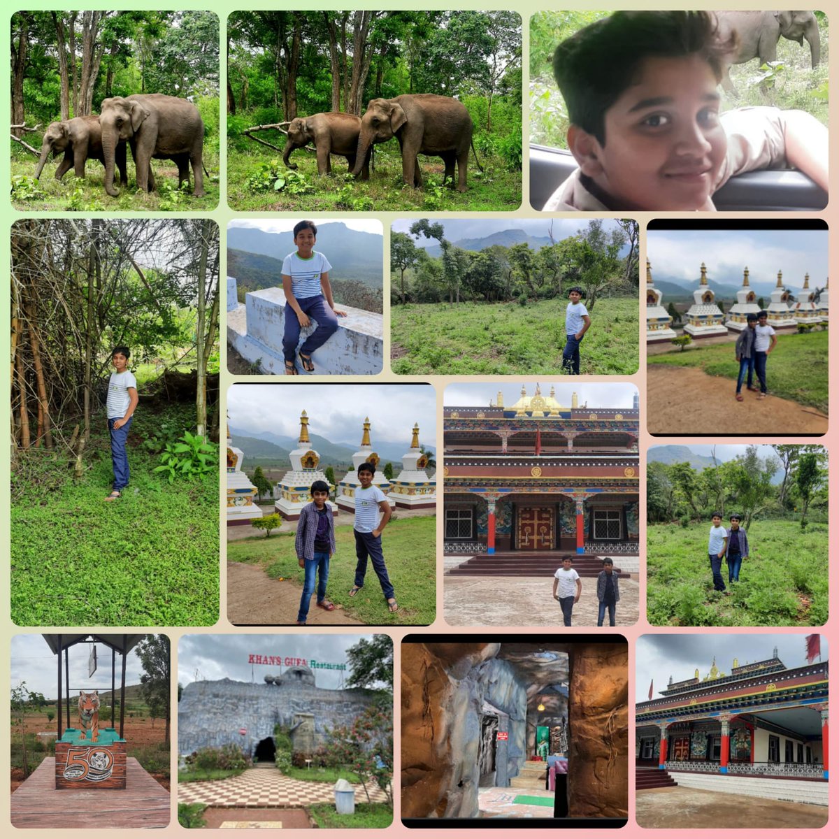 Our student, Aswanthvel of grade VII, visited Sathyamangalam Tiger Reserve during the summer holidays and shared his wonderful experience with us.
#srinachammalvidyavani #Tigers #forestlive #memories #holidays #travelphotography #summer