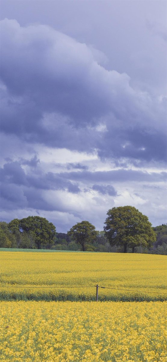 Success is from failure to failure, and it does not diminish the enthusiasm at the beginning.