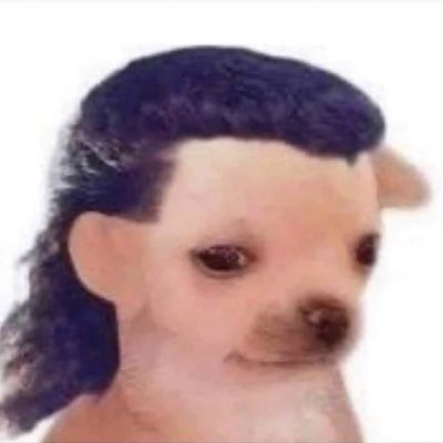 LayB420's tweet photo. #NeuesProfilbild https://t.co/SvD4QNjQJv