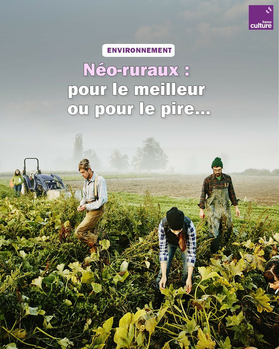 franceculture's tweet photo. En finir avec la ville et son stress. Souvent, l'idée nous assaille après une journée trop intense, puis s'évanouit. Mais certains l'ont fait. Comment s'en sortent-ils ?
➡️ https://t.co/OD5BLTTmdi https://t.co/8nXoUNjdn7