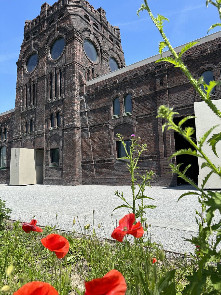 The🌻GARDEN OF THE PRESENT at the PLATO contemporary art gallery is flourishing and blooming, transforming the public spaces around the gallery into a pleasant and relaxing place to spend time.
🌱The garden applies the ethical and practical principles of permaculture.