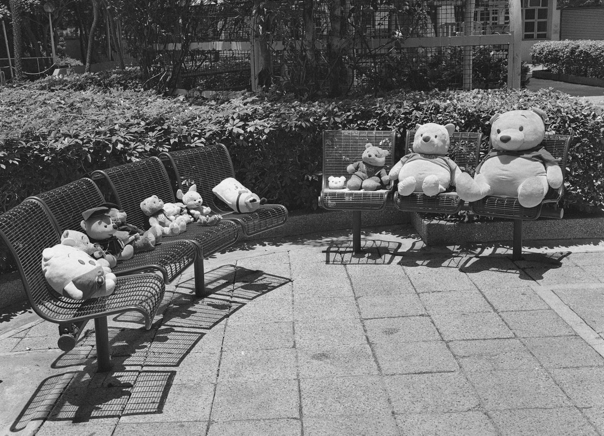 vyvpoon's tweet photo. RF645 65mm, Kodak TriX400 iso400, HC110 1:100 16min 28°c.
#写真 
#filmphotography 
#photography 
#blackandwhitephotography https://t.co/g7i6eWokK7
