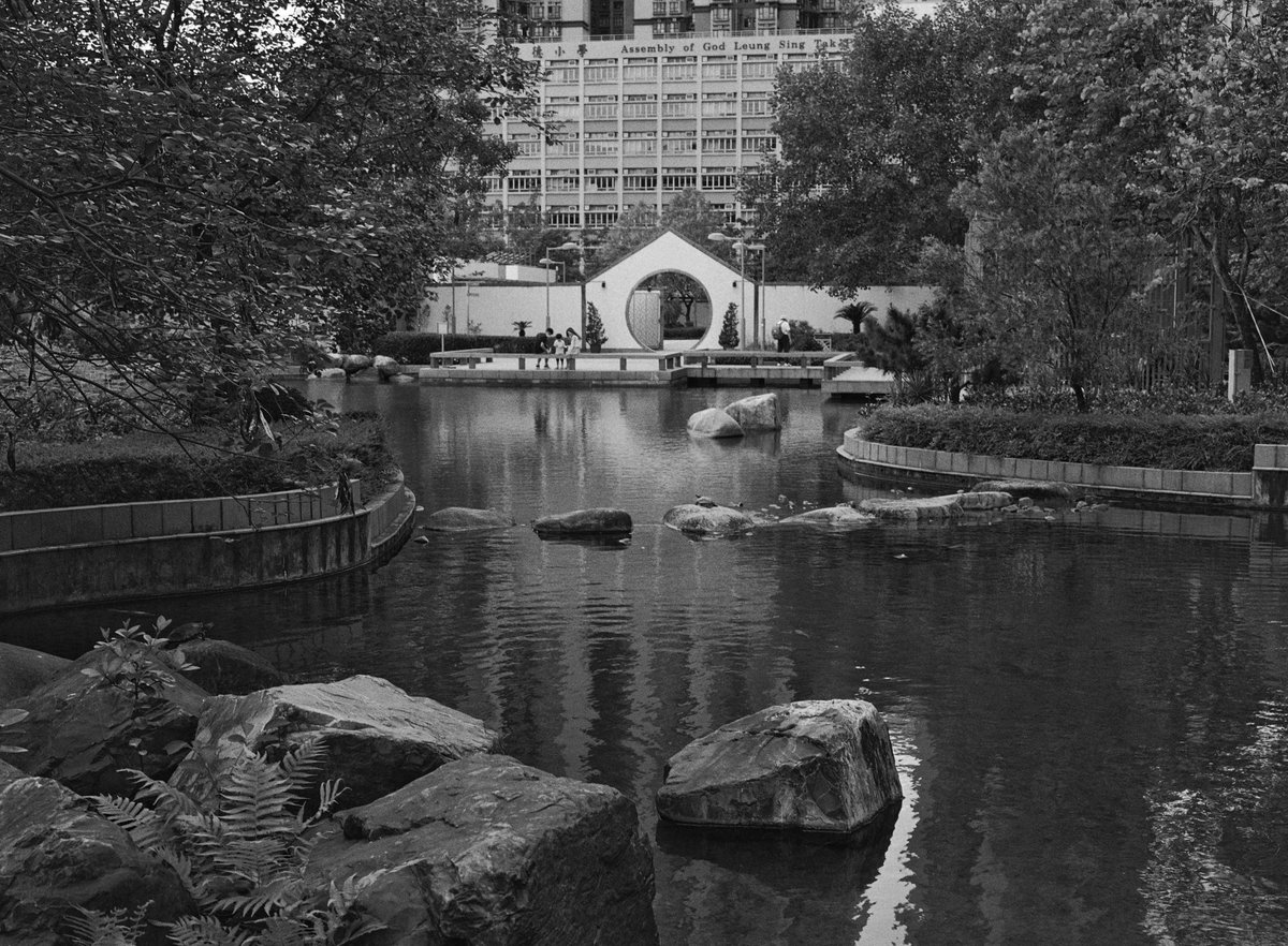 vyvpoon's tweet photo. RF645 65mm, Kodak TriX400 iso400, HC110 1:100 16min 28°c.
#写真 
#filmphotography 
#photography 
#blackandwhitephotography https://t.co/g7i6eWokK7