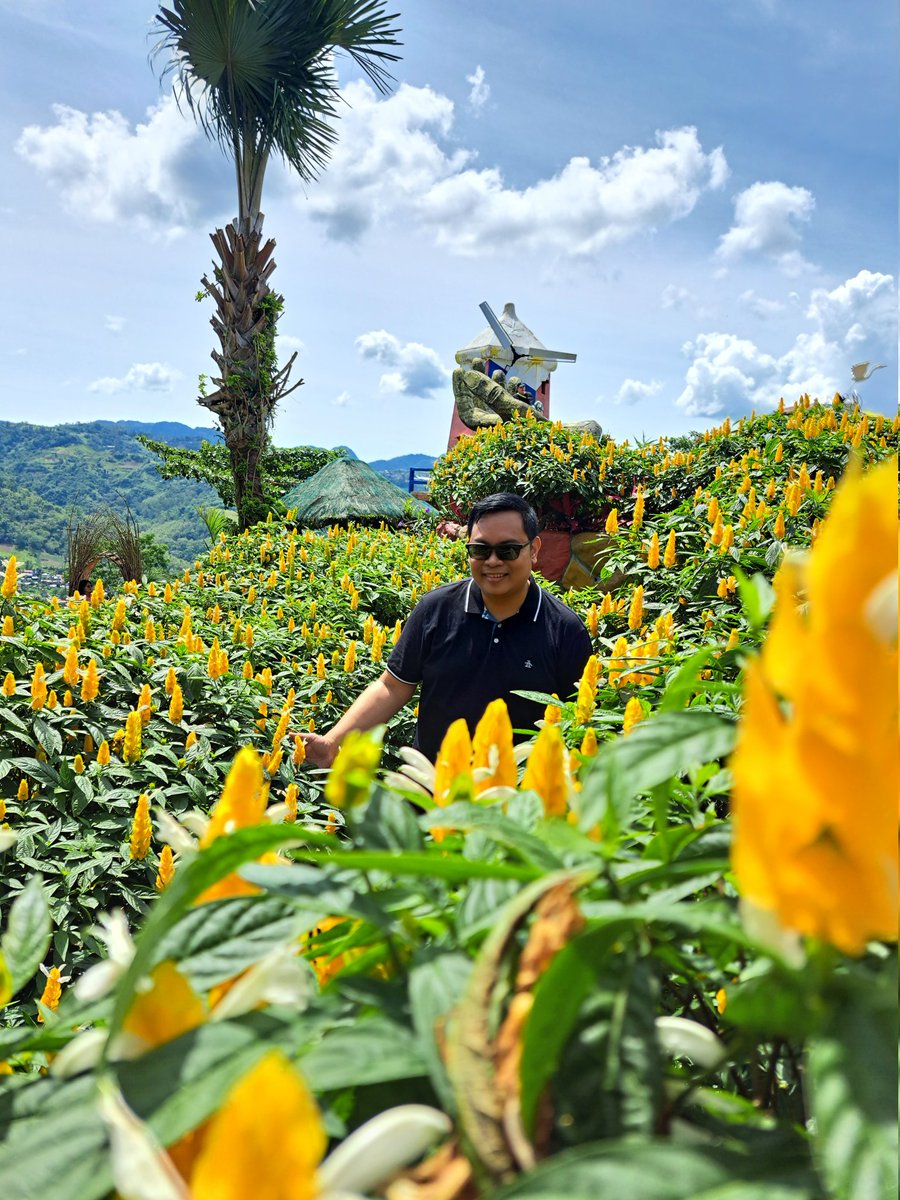 New knowledge: #Buwakan is the Visayan word for #FlowerFarm! 🌼🌻🌷