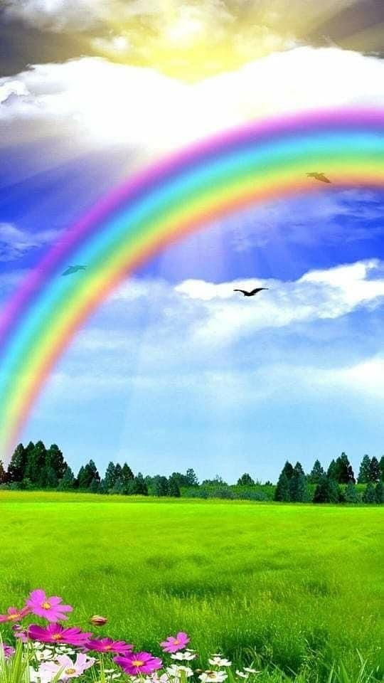 Good day and happy new week 🤍🩵🩷
#Mondaythoughts