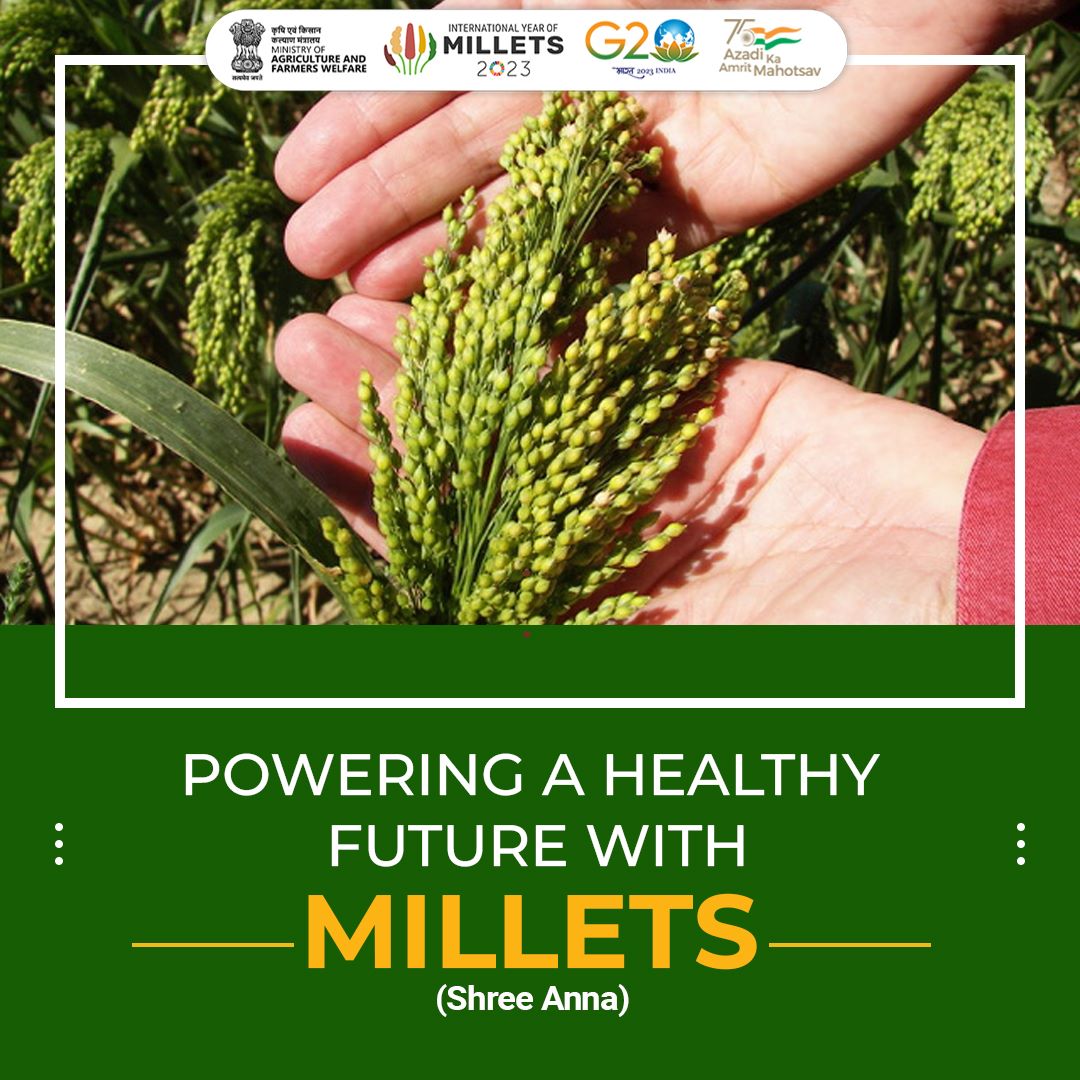 Millets are a group of small-seeded grains that are gluten-free and rich in fiber, vitamins and minerals.

#IYM2023 #YearofMillets #ShreeAnna

@IYM2023 @AgriGoI @RailMinIndia