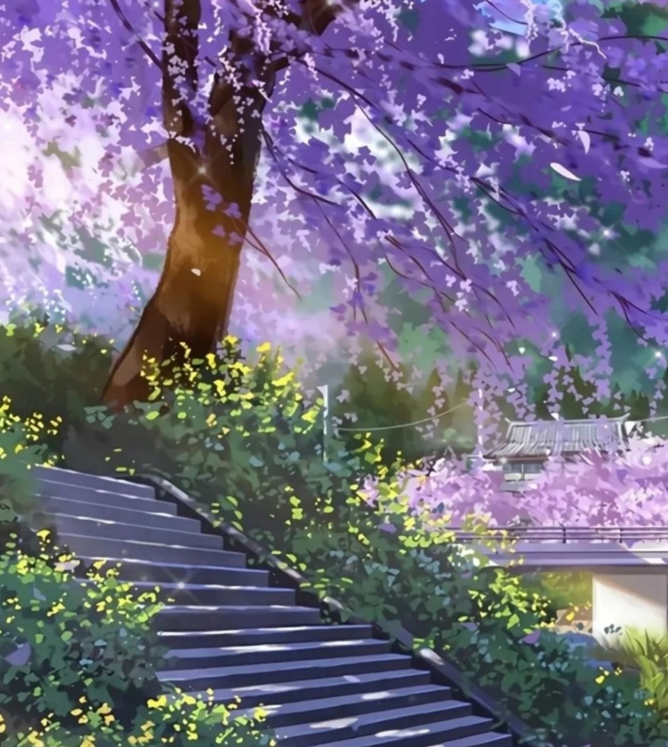 Rory Albert (@roryalbert18) on Twitter photo 