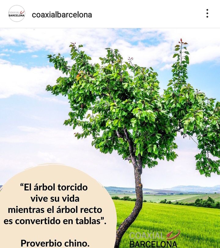 CoaxialCoaching's tweet photo. https://t.co/5P9CVGxBgG