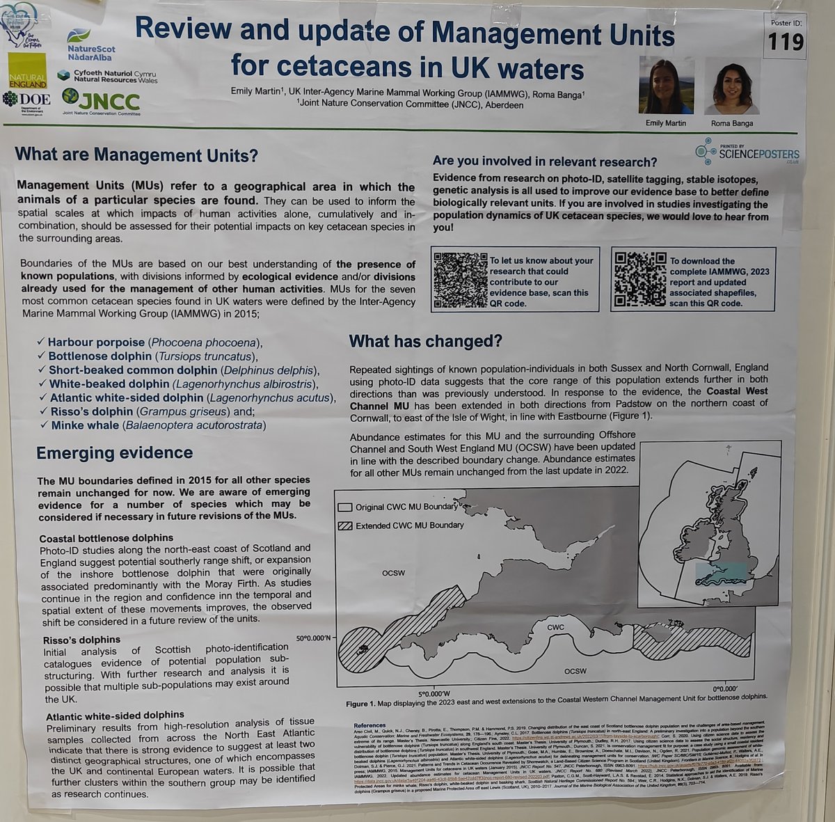PorpoiseLady's tweet image. Emily Martin et al presented &quot;Review and update of Management Units for cetaceans in UK waters&quot;. The boundaries of these units is based on best knowledge of cetaceans species, including the harbour porpoise, the most common of all. 
#ECSConference2023