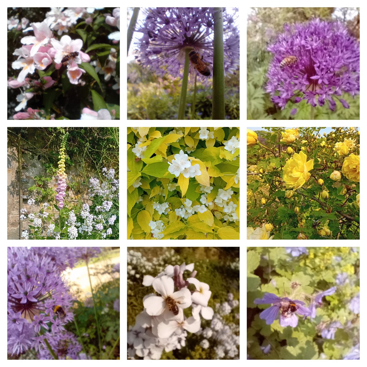 Balerno HS Science tweet media