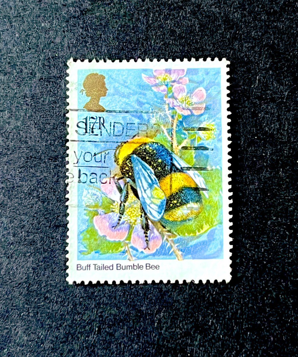 Happy Monday everybody. I hope you’re all well. Today’s Stamp of the Day, is this 17 pence stamp from Great Britain.

Issued - 1985
Type - Commemorative 
Print Method - Photogravure 

Please share your stamps from 🇬🇧 and have a lovely day.
#stampcollecting #philately #stamps