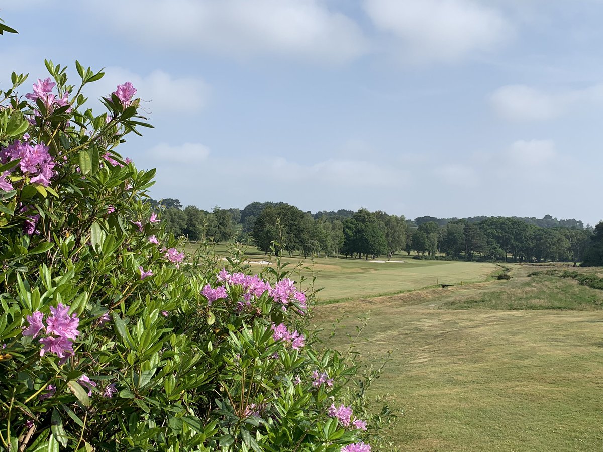 Broadstone Golf Club tweet media