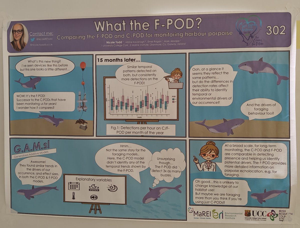 PorpoiseLady's tweet image. Nicole Todd et al had the poster with the most catchy title: &quot;What the F-POD? COmparing the F-POD and C-POD for monitoring of harbour porpoises&quot;. F-PODs are to replace C-PODs. Similar patterns of detections between them, but F-POD had more detections 
#ECSConference2023