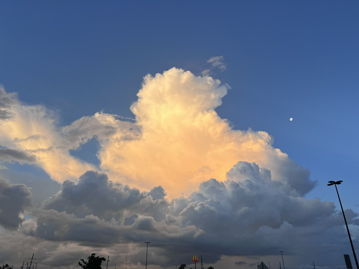 Lela (@lela65117550) on Twitter photo 