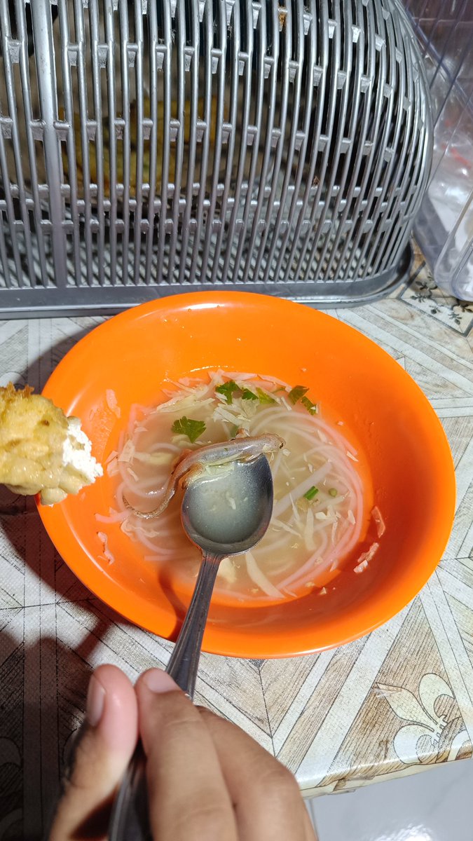 Arif5Irvanda's tweet photo. @amlasaikza yak terjadi kek kamu Jum😭 
Udah dimakan bapakku, pak tukang dan mbak🤣 https://t.co/buSuHTwFUV