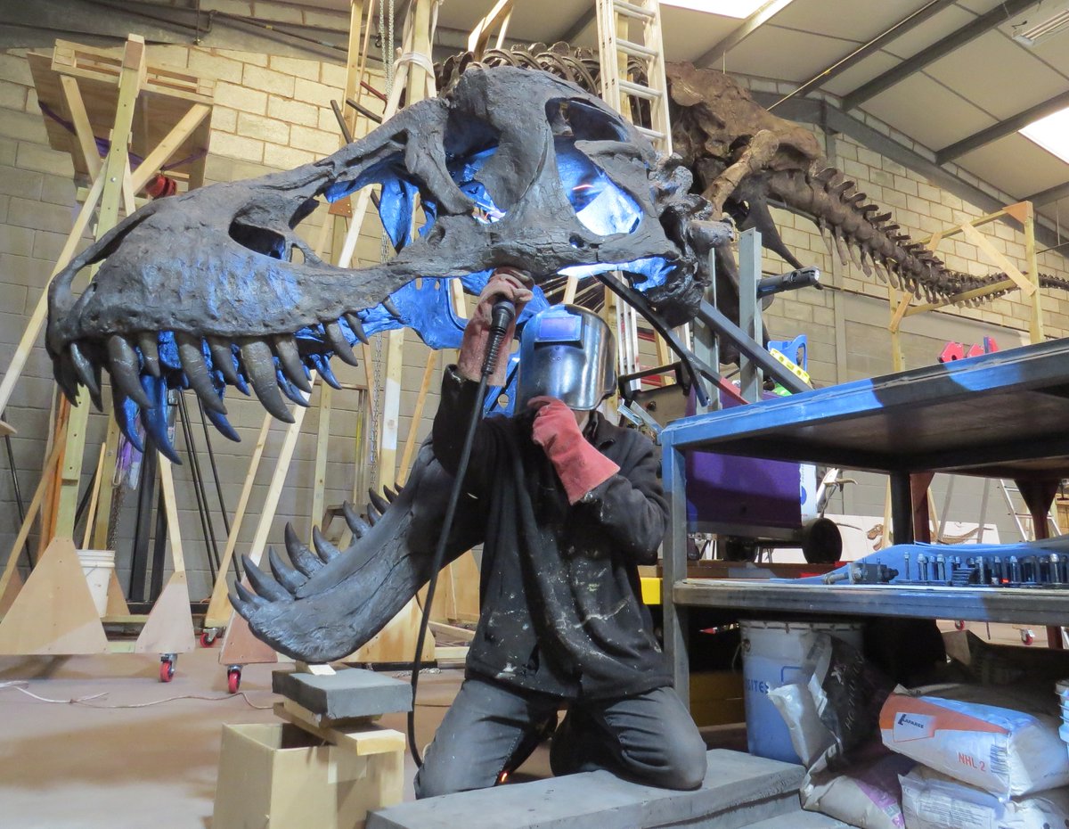 MrIchthyosaurus's tweet photo. "Drop a cool photo that someone took of you doing your job (quote tweet)"
#Palaeontologist & #Conservator & #Blacksmith & #Welder & #Researcher & #Tyrannosaurusrex #Wrangler
@Conservators_UK @OriginalGCG @Nat_SCA https://t.co/mMU8v7D3G1