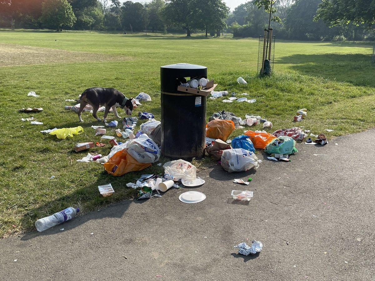 Dulwich Park Friends tweet media