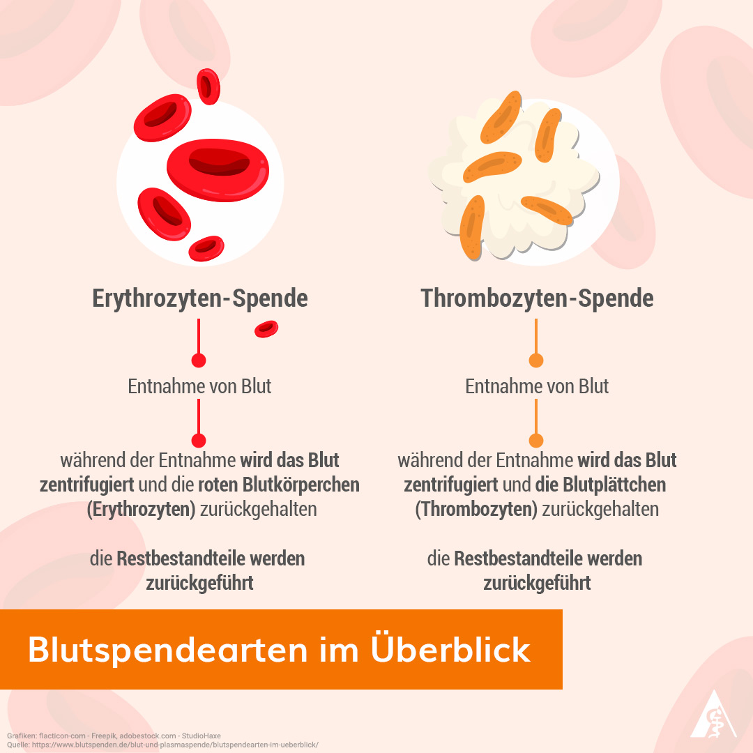 volksversandde's tweet photo. 🌍 Heute ist Weltblutspendetag! ❤️💉 Ob Vollblutspende oder Plasmaspende: Jede Blutspende kann einen Unterschied machen und Leben retten. 💪💙💪#weltblutspendetag #blutspende https://t.co/IdVRLkGxzK