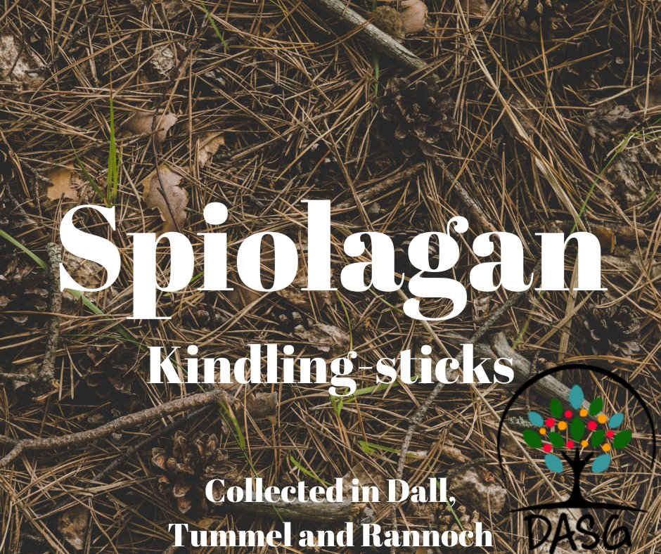 lght.ly/86k8db1
🔥
SPIOLAGAN - KINDLING-STICKS
🌱
#Spiolagan #Sponng #Spreigean #Lasadh #Kindling #Teine
🕯️
#LochTummel #Rannoch #Raineach #KinlochRannoch
#SiorrachdPheairt #Peairt
-
#Alba #Scotland
#Gàidhlig #Gaelic #ScottishGaelic
#DigitalArchiveofScottishGaelic #DASG