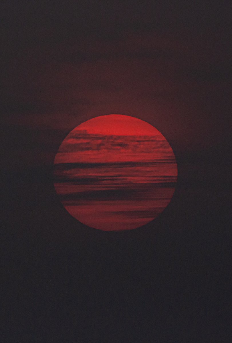 Now that I have embarked on this path, nothing should prevent me from following it. — Kant