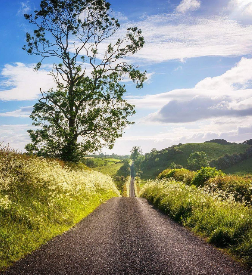TourismIreland's tweet photo. Roadtripping around the island of Ireland is a dream, with views like this! 😍
📍Beragh, Co Tyrone
📸 https://t.co/e0D0R3bCli https://t.co/bXZP4alR77
