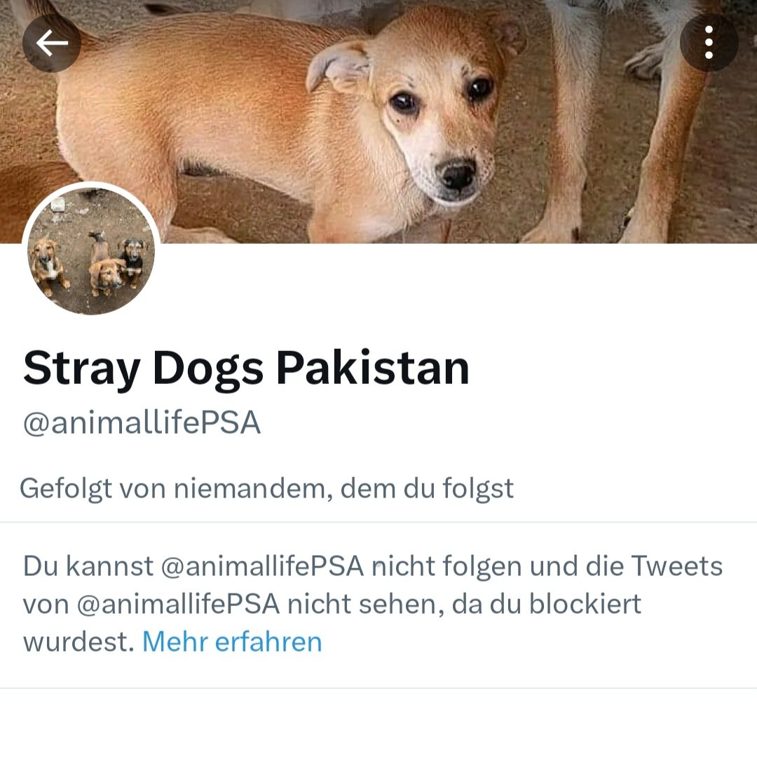 TWS tweet media