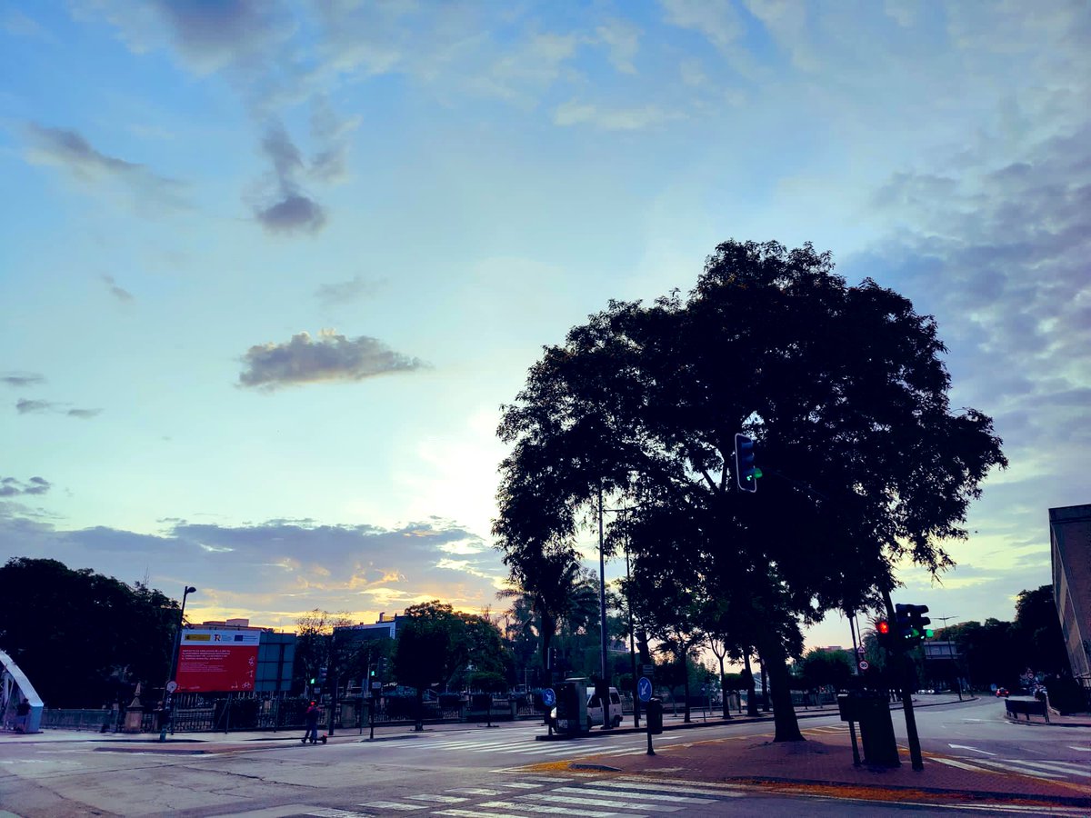Hoy decimos adiós a otro majestuoso ejemplar en nuestra ciudad. 

Es todo un sinsentido. 

Parad ya !