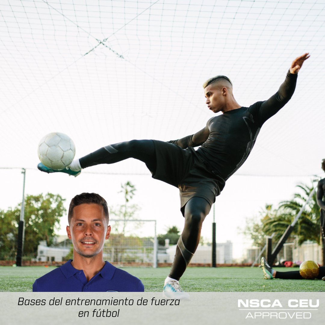 💪⚽ Un entrenamiento específico e individualizado es la base del soporte condicional para las demandas del juego.
cursos.nsca.es/course/bases-d…
💰 OFERTA MIEMBROS NSCA 
💻 100% ONLINE 
🧑‍🎓Lic. <a href="/Jesus_AceitunoD/">Jesús AceitunoD</a>  - Preparador Físico y Readaptador en equipos de élite