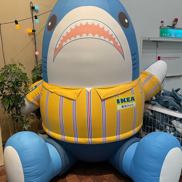 90bca32's tweet photo. 何か部屋を飾るものがないか見て回ります😎 https://t.co/t8GSlWqPIL