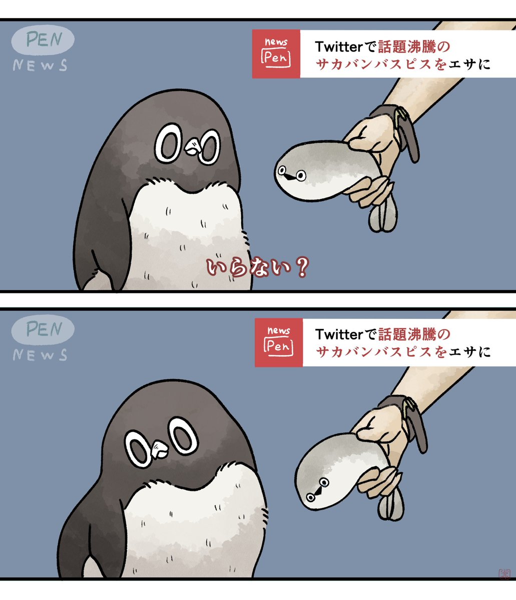 話題のサカバンバスピスをエサに与えられたペンギン