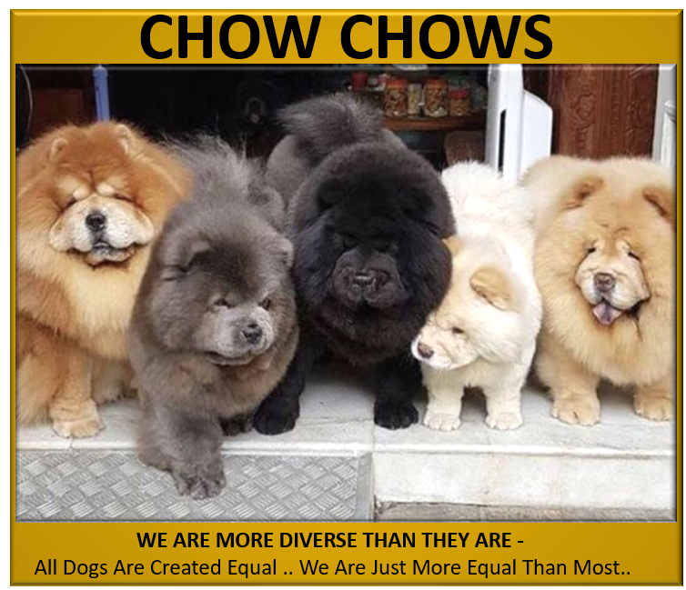 mr_internet's tweet image. #RacismIsStupid