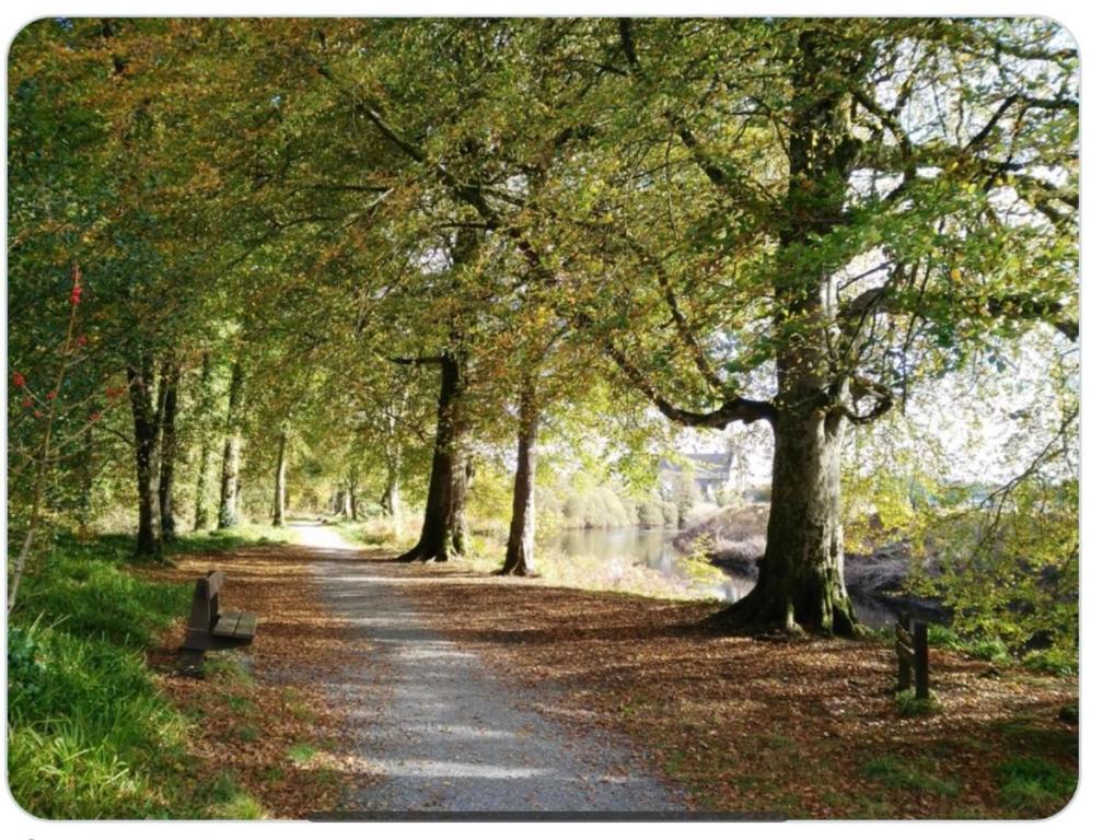 Drumboe Woods in Stranorlar is one of our new Civic Dollars earn zones.
You can earn 1 Civic Dollar for every 30 minutes you spend here.
Drumboe woods is situated northwest of the twin towns of Stranorlar and Ballybofey.
#VisitDonegal #TourismIreland #Ballybofey #stranorlar