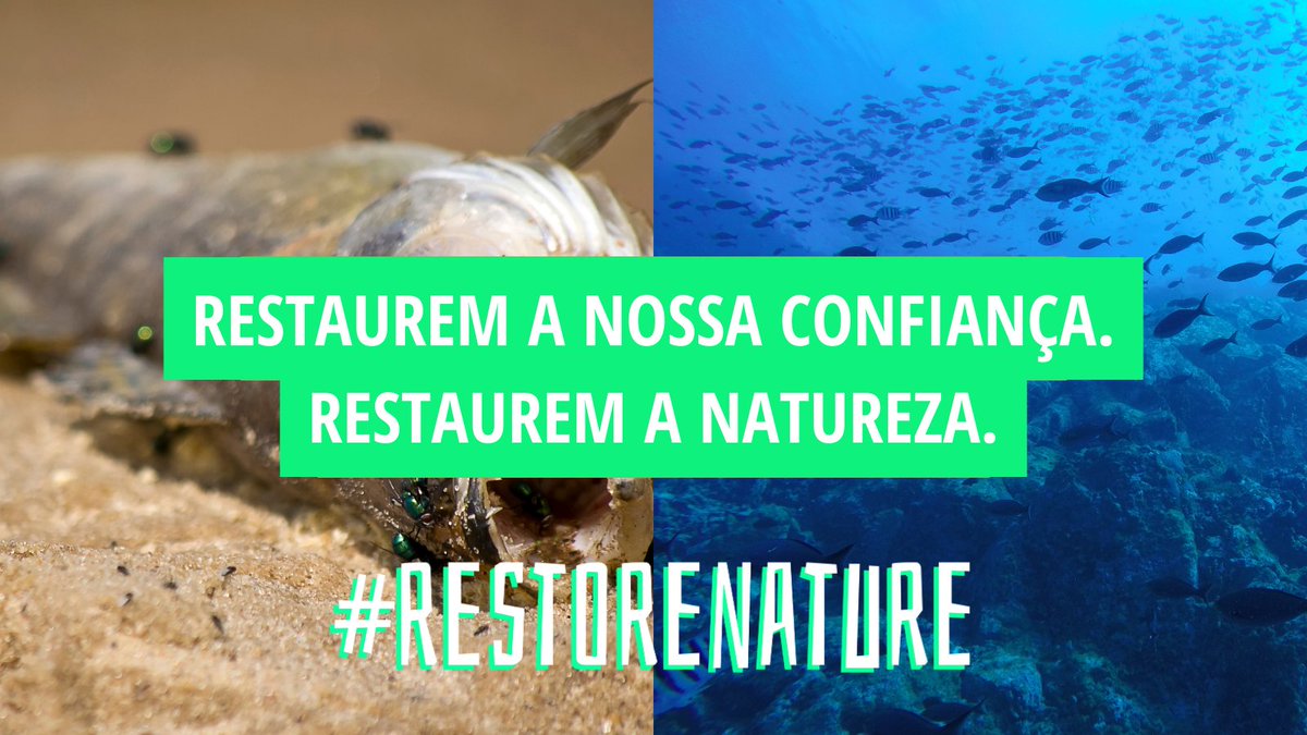 tagispt's tweet photo. A natureza fornece-nos tudo o que precisamos para sobreviver e prosperar. Já é hora de retribuirmos e a restaurarmos ⏰
@EP_Environment Não podem deixar passar esta oportunidade: votem na nossa Lei de Restauro da Natureza.🌱
➡️https://t.co/WmWejF1S3E
#RestoreNature https://t.co/f59zndNn4j