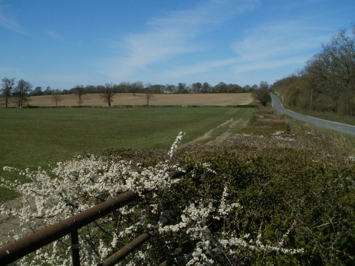 Saturday 24th June 2023, 10:45am.
Battle of Barnet 1471

Join David Warren’s exploration of the terrain of Warwick’s army's most likely approach, which culminated in the the 1471 battle of Barnet.

NB: Advance Booking required. For further details, visit: battlefieldstrust.com/event.asp?Even…