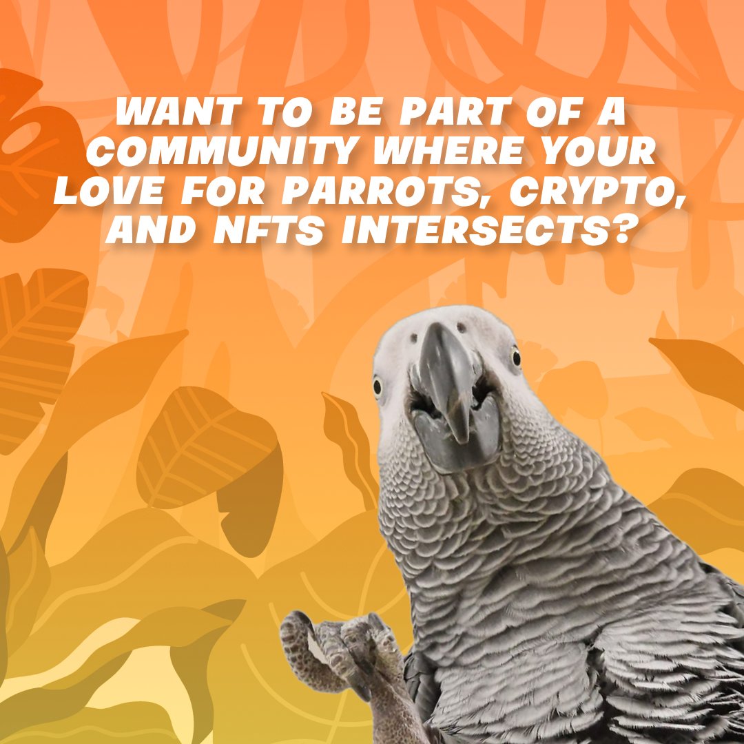 hugotheparrot's tweet photo. What happens when an endearing African Grey Parrot meets the crypto world? π
Join us on our journey with Hugo the Parrot project and become a part of something that's as unique as it is impactful!
#HugoParrot #CryptoConservation https://t.co/XEvwl0daBS