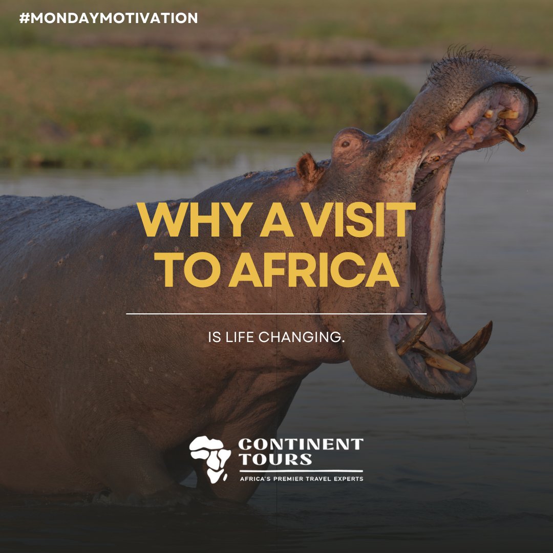 continenttours's tweet photo. Why a visit to Africa is life-changing, Africa is the continent with the most inspirational places on earth. 

https://t.co/wFQiPyWzt7

#AdventureTime #TravelGoals #travel #nature #travelphotography #Continenttours #Mondaymotivation https://t.co/NCtuHjOVVG
