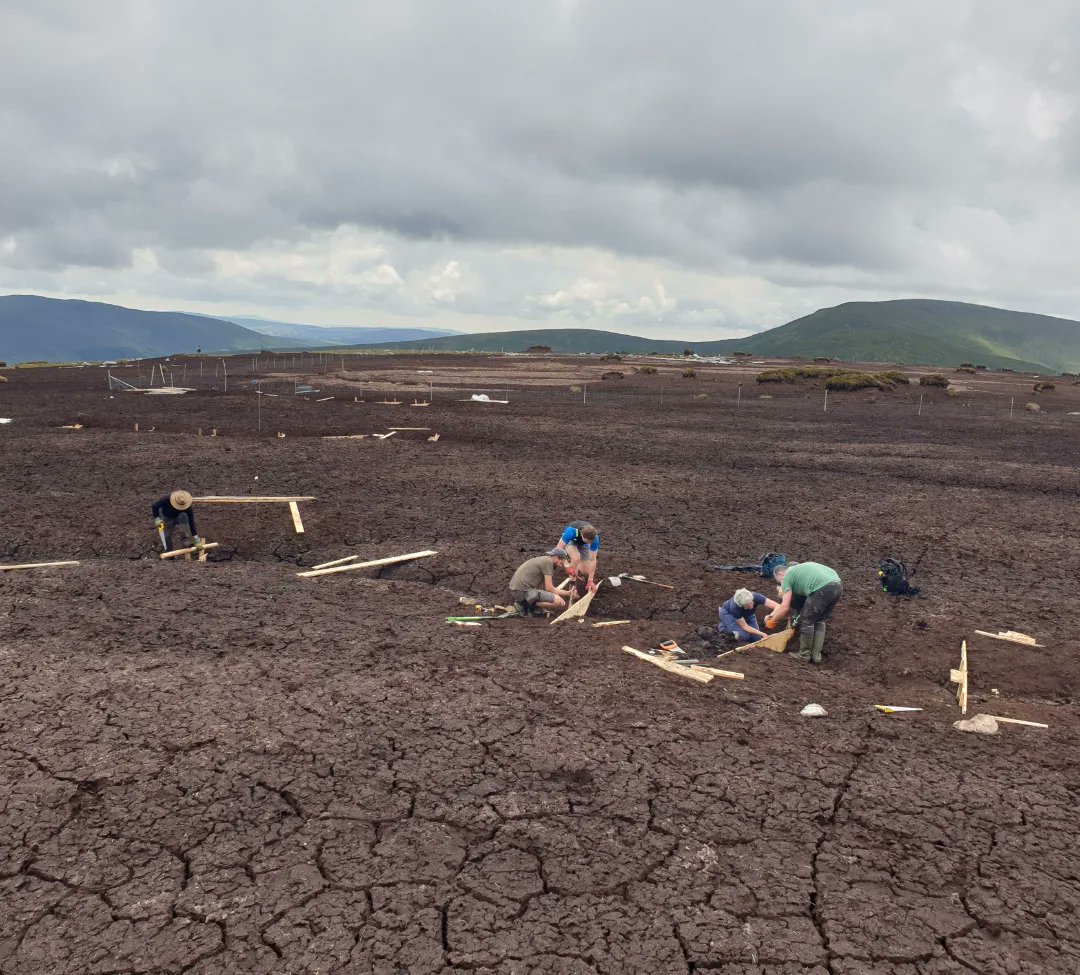 No better antidote to all the recent negative climate talk than positive climate action! 

It was great to spend yesterday high in the mountains with old friends and new from ReWild Wicklow restoring a really degraded peatland site with the NPWS rangers.