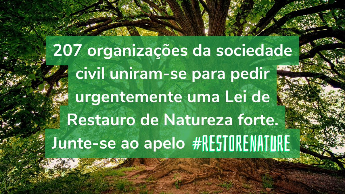 tagispt's tweet photo. Estamos em contagem decrescente: temos que restaurar a natureza agora se quisermos um futuro sustentável para as próximas gerações⏰
Mais de 200 ONGs têm pedido uma Lei de Restauro da Natureza ambiciosa 🇪🇺
@EP_Environment
➡️ https://t.co/V6hCyaAB7L
#RestoreNature https://t.co/NEymvEoFqk