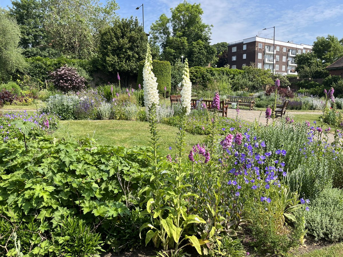 The walled garden in Gladstone Park is utterly gorgeous at the moment. Quite something. Lots of hard work to get it looking like this for sure.