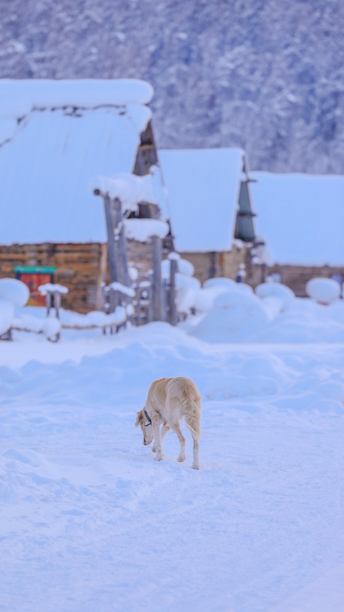 Be strong, believe in who you are; be strong, believe in what you feel  <a href="/WendellWoolf3/">Wendell Woolf</a>  <a href="/EdwiinJuliana12/">Edwiin Juliana</a>  <a href="/Abigail38689890/">bohne.eth</a>