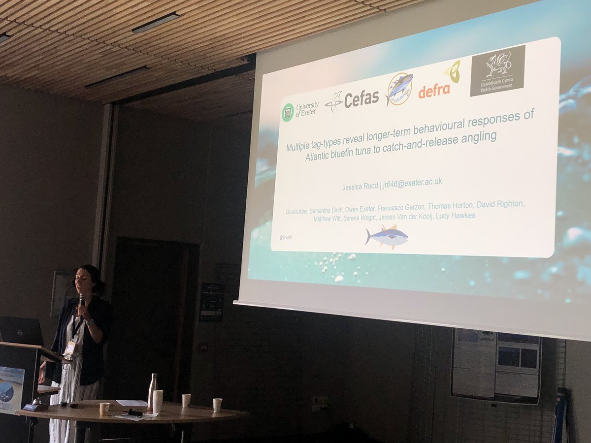 icft2023's tweet photo. Jessica Rudd showing why it is interesting to use multiple tag types to better understand behavior and ecology of tunas https://t.co/tWYTenQCaf