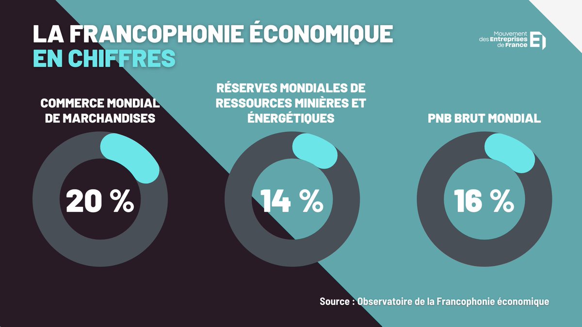 #EcoFlash | Le saviez-vous ? 
La #francophonie économique est un marché en constante augmentation avec plus de 500 millions de locuteurs
#LaREFranco @PatronatsFranco