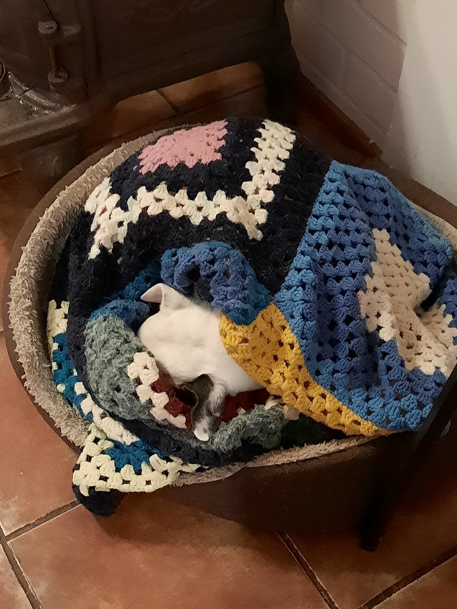 jandyseverinom1's tweet photo. Pinché frío hoy en la #laserena..mi perrito lo sabe @LaSerenaOnline @serenaycoquimbo @MeteoLaSerena #frio #lacuartaregion @LaSerena_Chile https://t.co/mmjiN44lQu