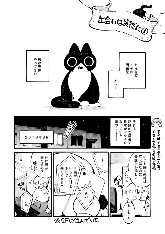 ペットは絶対飼わないと言っていた男が野良猫に出会ったら

(1/2) 