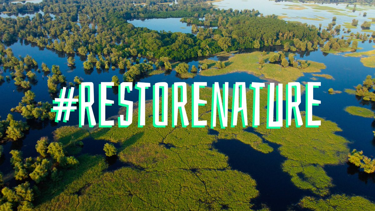 Will you stand up to support the Nature Restoration Law for wetlands? #RestoreNature
Last year at CBD #COP15, the EU & governments around the world agreed we need to #RestoreNature. Let’s keep our commitments & pass an ambitious #EUNatureRestorationLaw that is up to the task!