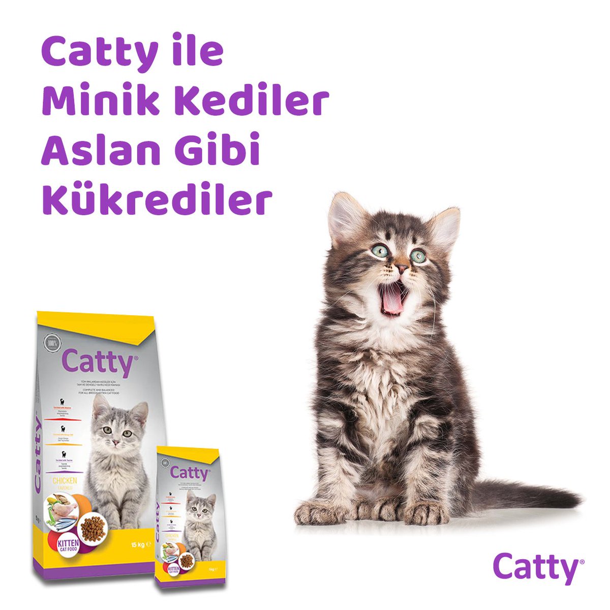 CattyCatFood's tweet photo. Sütten kesilmiş veya hassas sindirim sistemine sahip yavru kedinizin sağlıklı gelişimi için hazırlanan Catty Yavru Kedi Maması, tavuk lezzeti ile buluşuyor, minik kediler mutlulukla büyüyor!

#Catty #Kedi #KediMaması #YavruKediMaması #Cat #CatFood #CatLovers https://t.co/vinVBACXTc